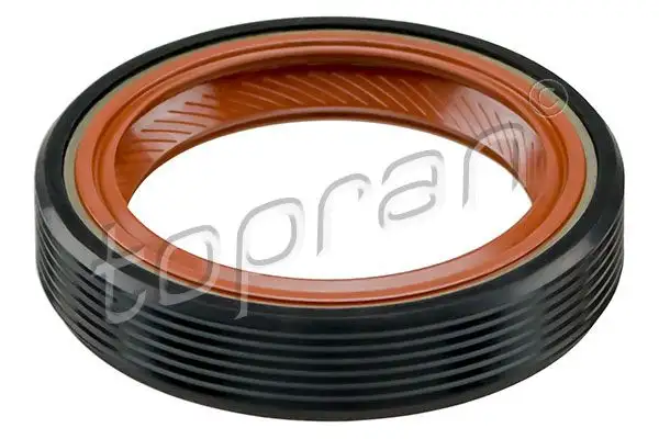 TOPRAN 101031002 Ön Krank Keçesi resmi