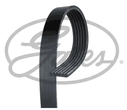 GATES ROADMAX 1795K6 Kayış resmi
