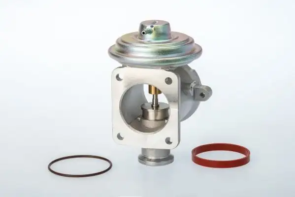 WAHLER 710924D EGR Valfi 11717793484 resmi