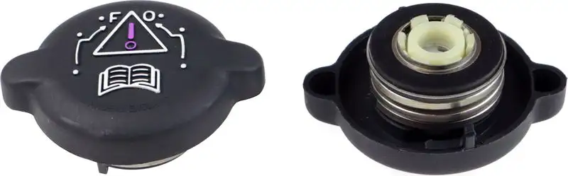 RAPRO R66118 Yedek Su Depo Kapağı resmi