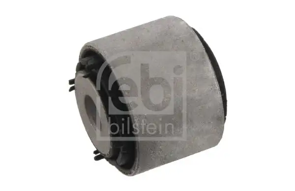 FEBI 30982 Salıncak Burcu resmi