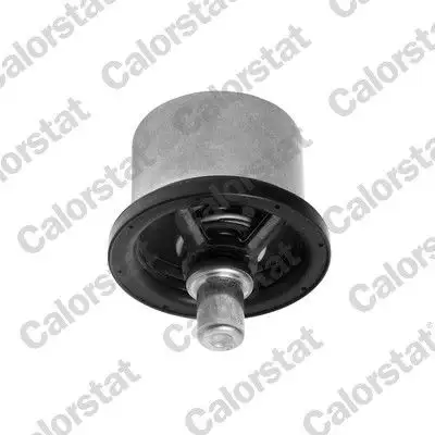 CALORSTAT VERNET THS16957.82 Termostat resmi