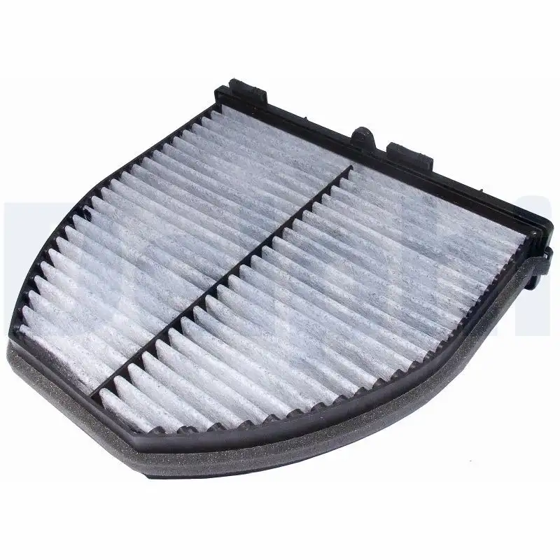 DELPHI TSP0325258C Polen Filtresi (Karbonlu) resmi