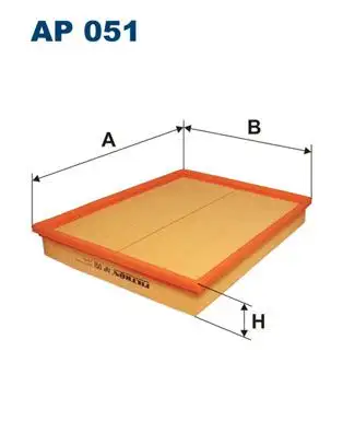 FILTRON AP051 Hava Filtresi resmi