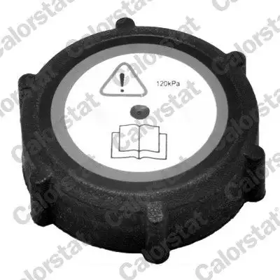 CALORSTAT VERNET RC0009 Yedek Su Depo Kapağı resmi