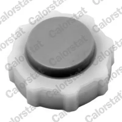 CALORSTAT VERNET RC0018 Yedek Su Depo Kapağı 7700808837 resmi