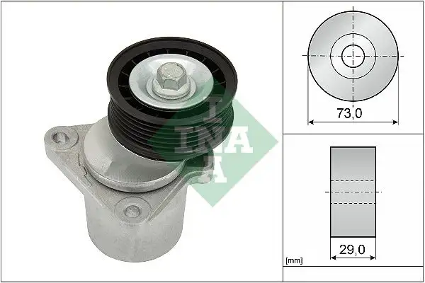INA 534012820 Kayış Gergi Kütüğü resmi