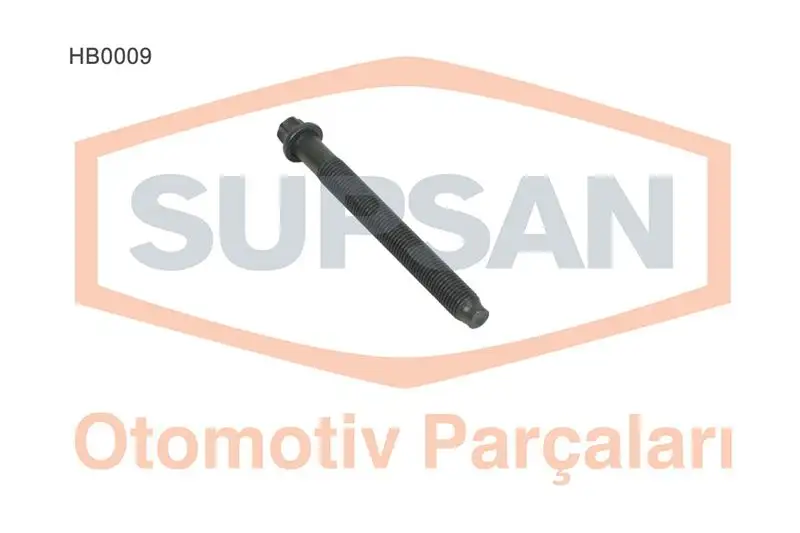 SUPSAN HB0009 Silindir Kapak Civatası 7700855384 resmi