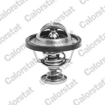 CALORSTAT VERNET TH6295.82J Termostat resmi