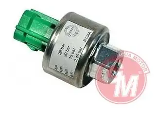 GUA 40470 Klima Basınç Müşiri 46476438 resmi