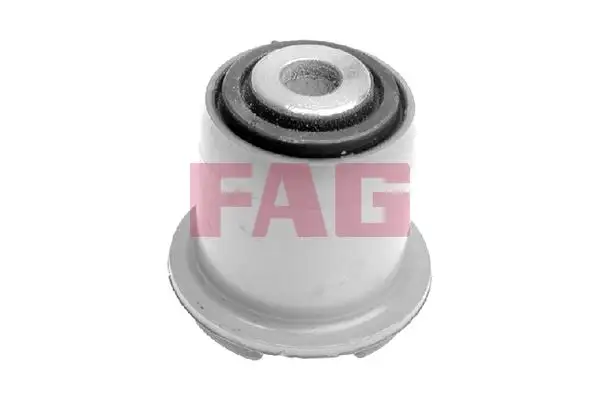 FAG 829007310 Salıncak Burcu resmi