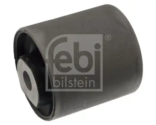 FEBI 100354 Salıncak Burcu resmi