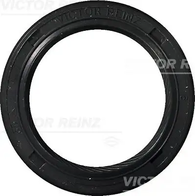 VICTOR REINZ 81-25582-10 Krank Keçesi 6842273 resmi