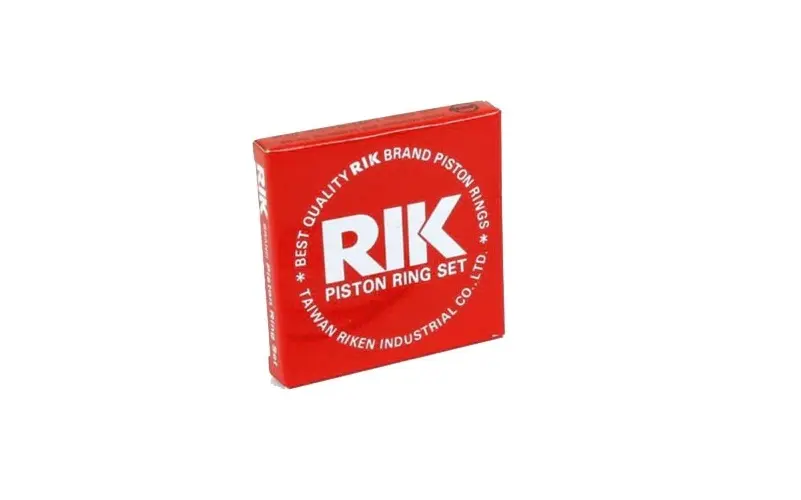 RIKEN RE15150050 Motor Segmanı (0.50) resmi