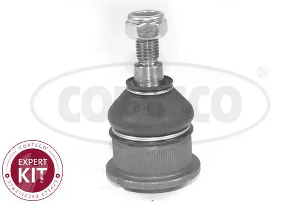 CORTECO 49399251 Alt Rotil 31121126254 resmi