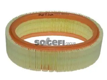 PURFLUX A1278 Hava Filtresi resmi