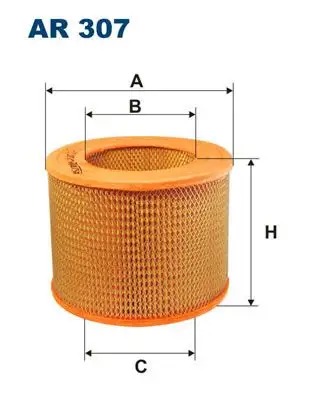 FILTRON AR307 Hava Filtresi resmi