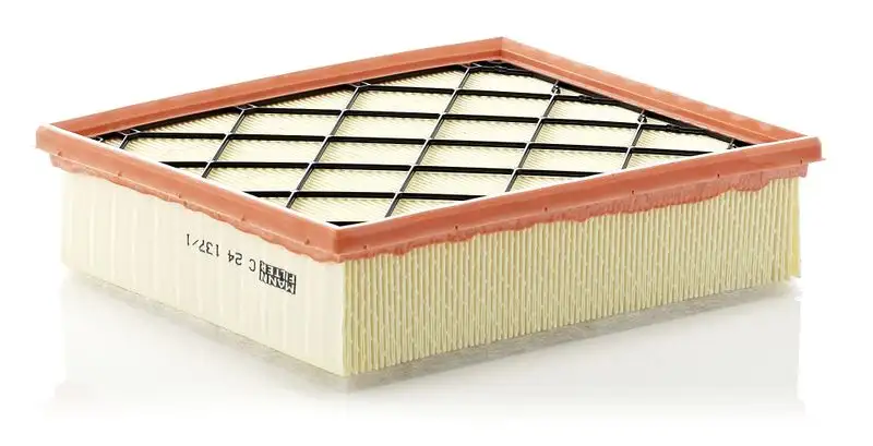 MANN C24137/1 Hava Filtresi resmi