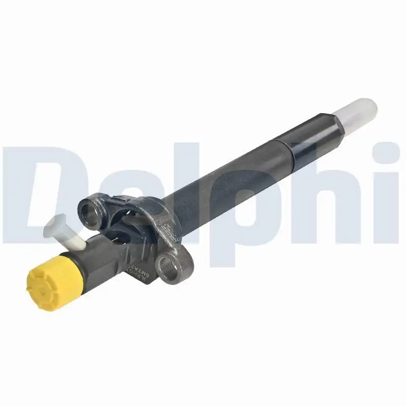 DELPHI R06001D-12B1 Enjektör resmi