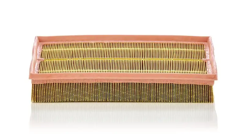 MANN C33189 Hava Filtresi resmi