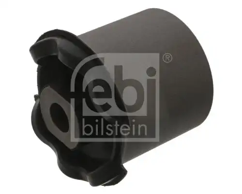 FEBI 45689 Salıncak Burcu resmi