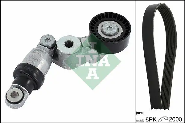 INA 529041310 Kayış Seti resmi