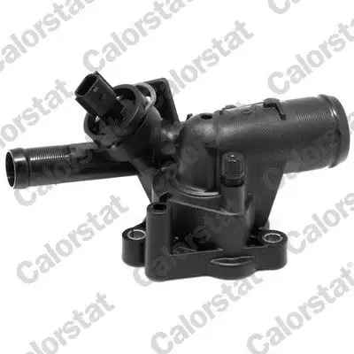 CALORSTAT VERNET TH7190.81J Termostat resmi