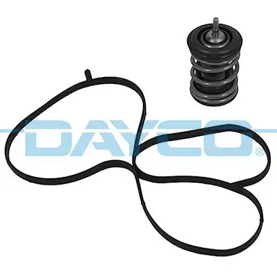 DAYCO DT1264V Termostat 04E121113F resmi