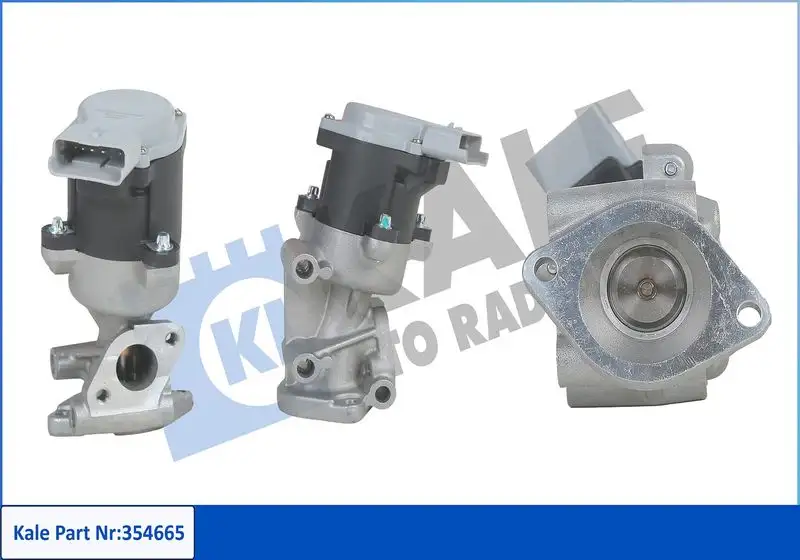 KALE 354665 EGR Valfi resmi