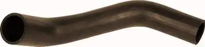 GROS T17113 Radyatör Alt Hortumu MC390038 resmi