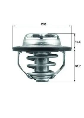 MAHLE TX12282 Termostat resmi