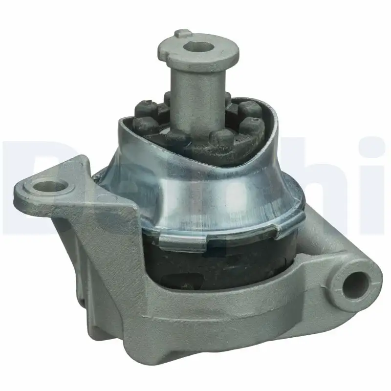 DELPHI TEM090 Motor Takozu (Arka) resmi