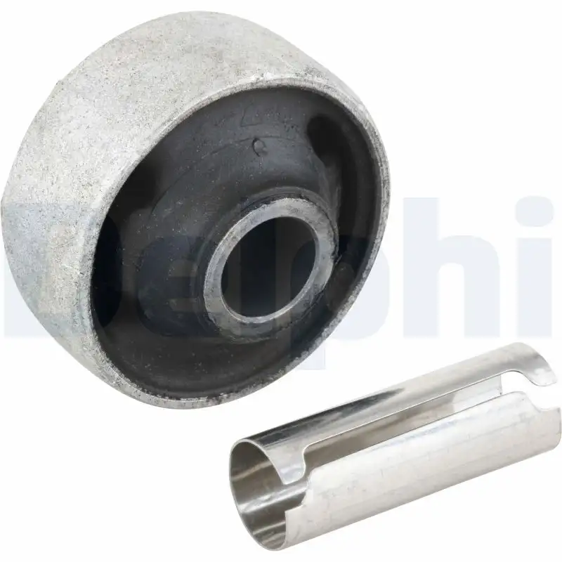 DELPHI TD243W Salıncak Burcu resmi