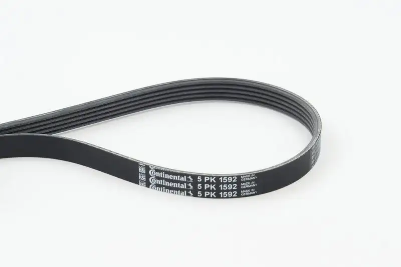 CONTITECH 5PK1592 Kayış resmi