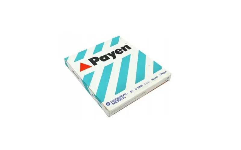 PAYEN BW720 Silindir Kapak Contası 60812490 resmi