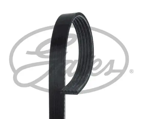 GATES ROADMAX 1355K5 Kayış resmi
