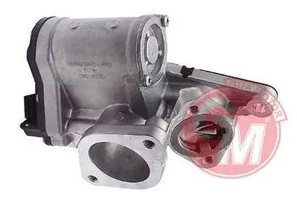 GUA 41137 EGR Valfi 147106672R resmi