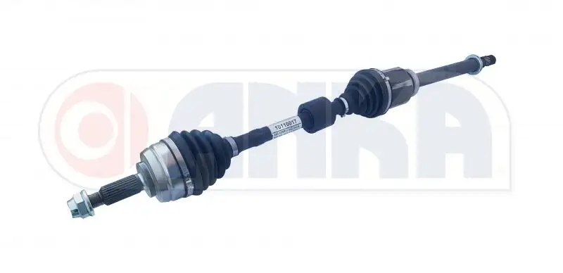 ANKA 10110017 Ön Aks (Sağ) 8200198016 resmi
