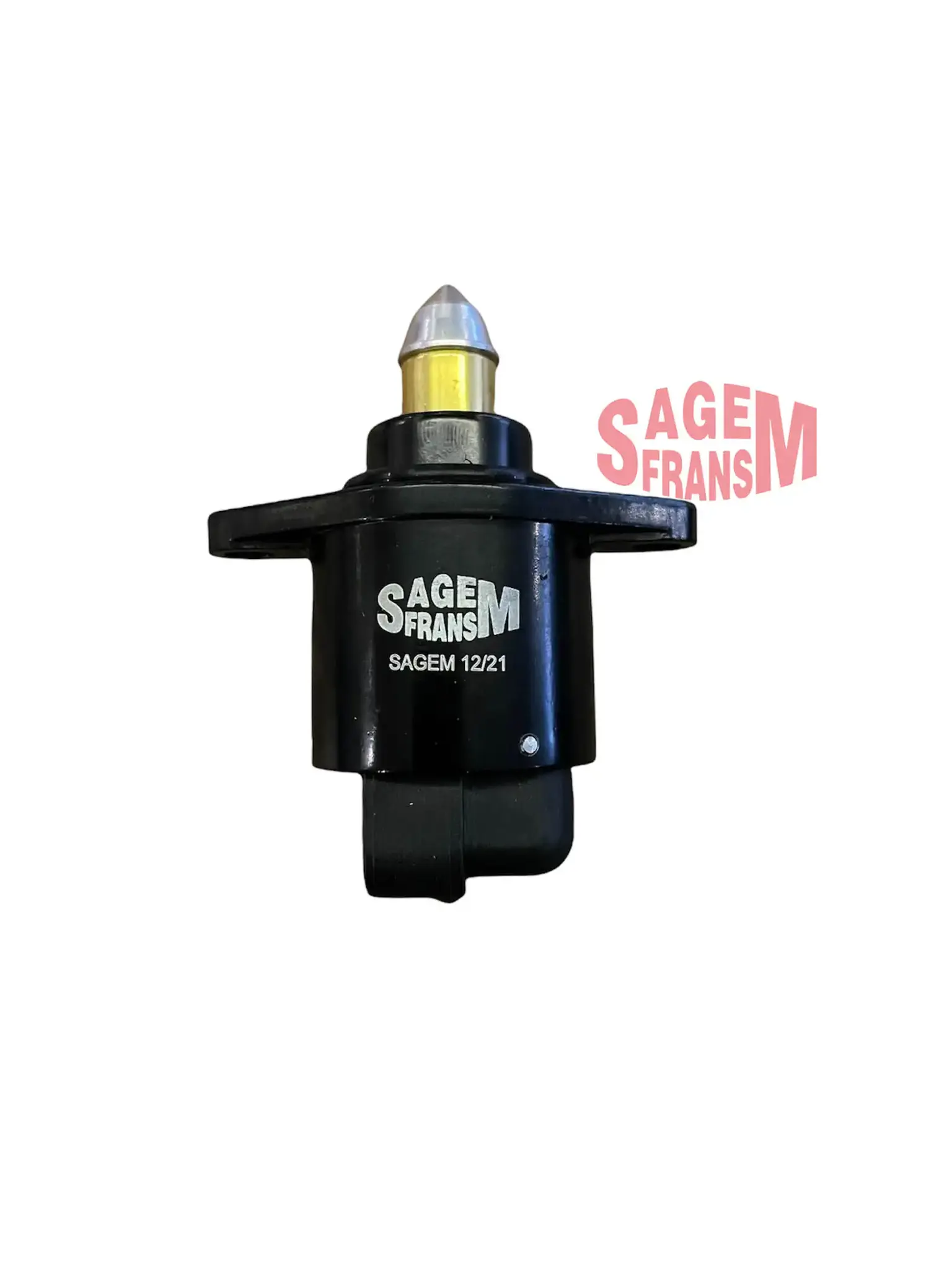 SAGEM 80104 Rölanti Valfi 7701206370 resmi