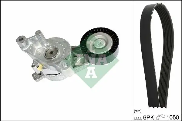 INA 529046810 Kayış Seti 03G903315 resmi
