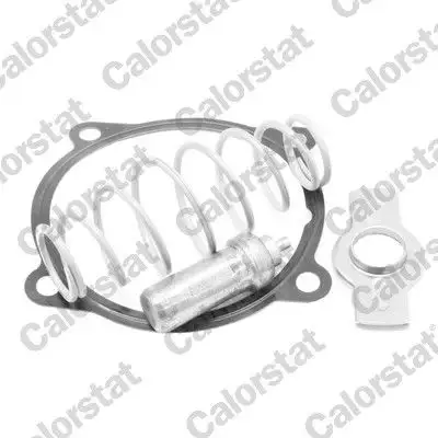 CALORSTAT VERNET TH7313.79J Termostat 504071087 resmi