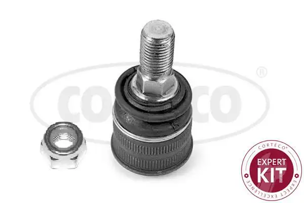 CORTECO 49395876 Alt Rotil A2203230368 resmi
