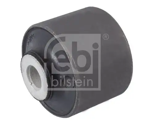 FEBI 36458 Salıncak Burcu resmi