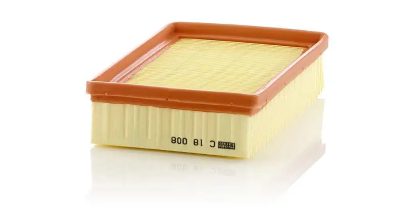 MANN C18008 Hava Filtresi 13727726799 resmi