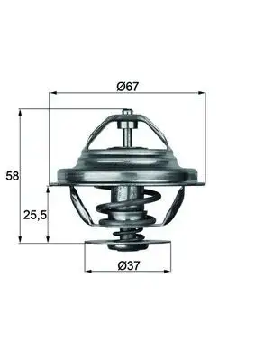 MAHLE TX2080D Termostat resmi