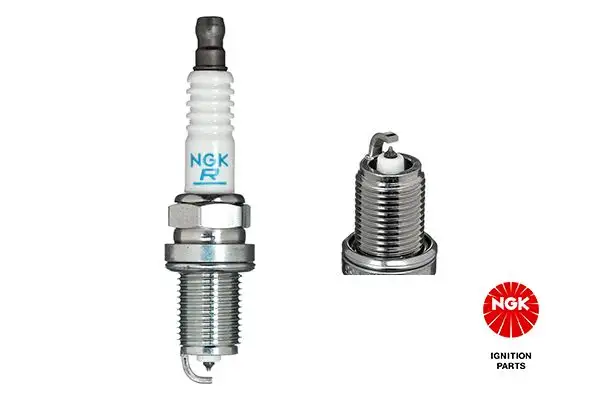NGK 5555 (PFR6G11) Buji resmi