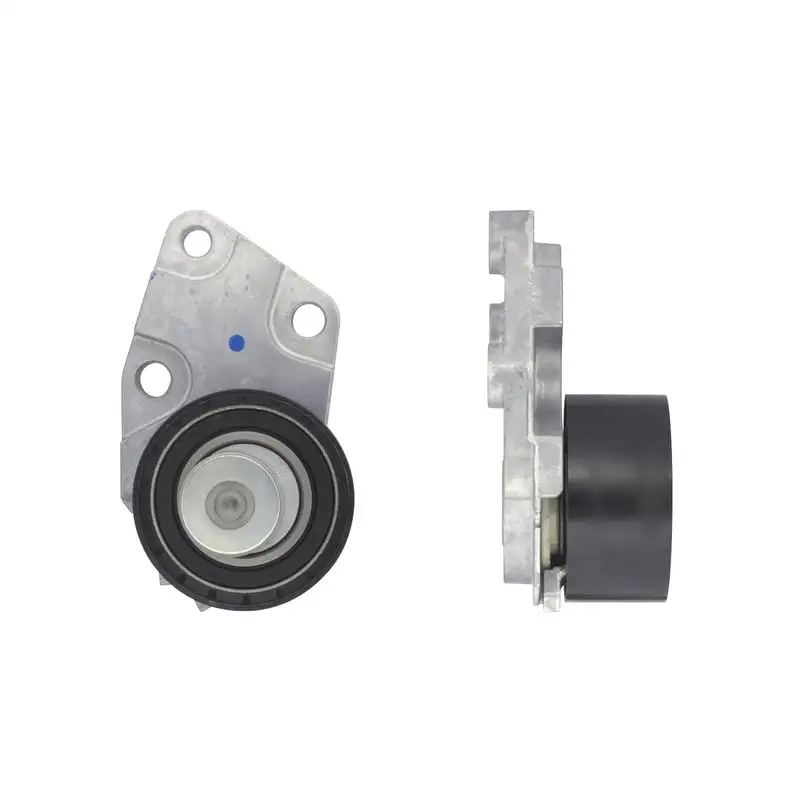 GATES T43039 Triger Gergi Rulmanı 5094008601 resmi