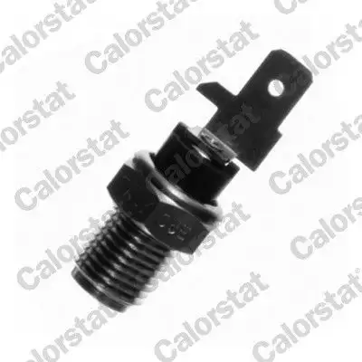 CALORSTAT VERNET WS2540 Hararet Müşiri 7203359 resmi