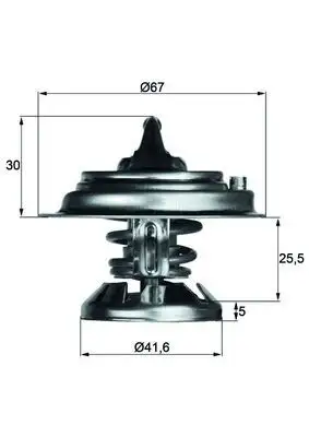 MAHLE TX2975D Termostat A6012000215 resmi