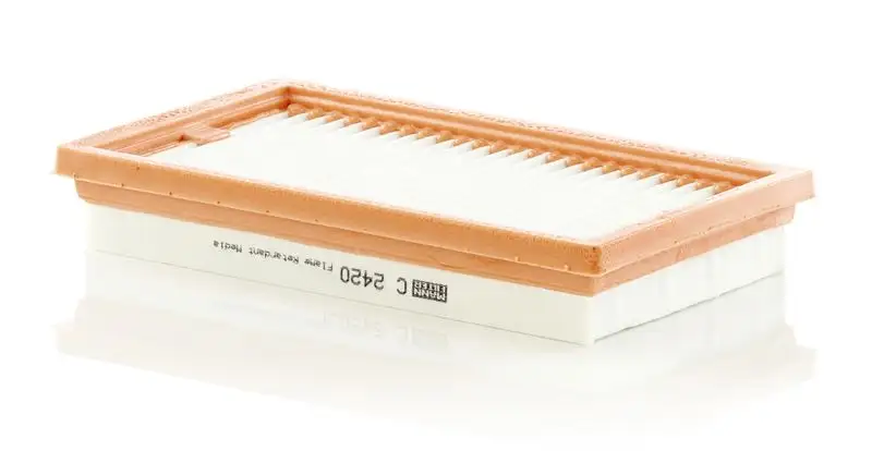 MANN C2420 Hava Filtresi 16546ED000 resmi